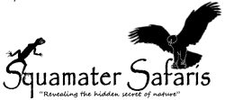 Squamater Safaris